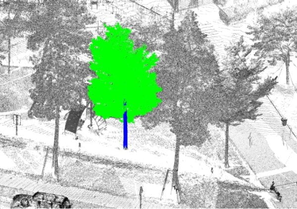 Automatic Tree Extraction in GeoInstinct Survey OFFICE